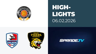 06.02.2026 - Highlights - Heilbronner Falken vs. onesto Tigers Bayreuth